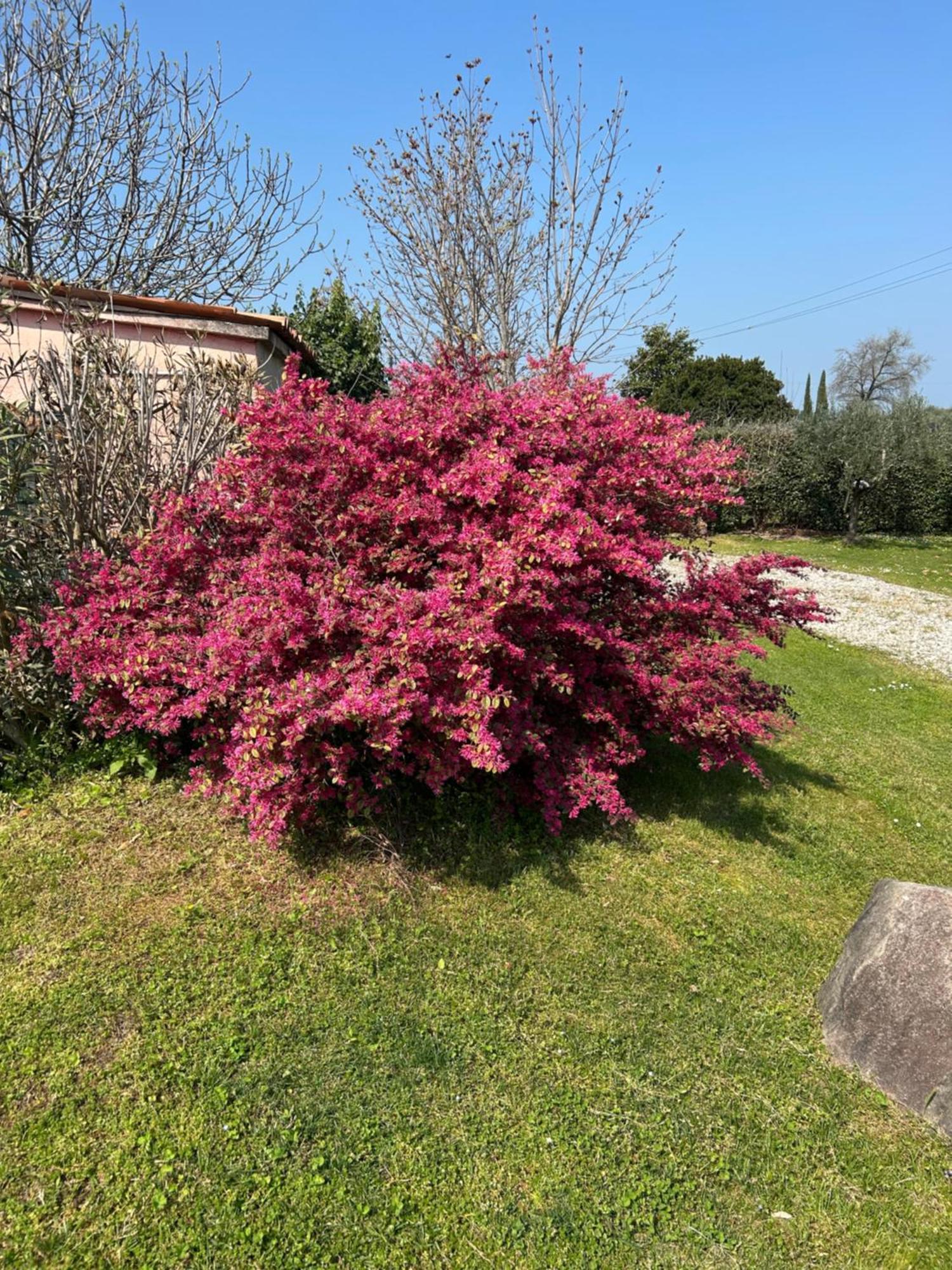 B&B Il Mio Casale Colà Eksteriør bilde